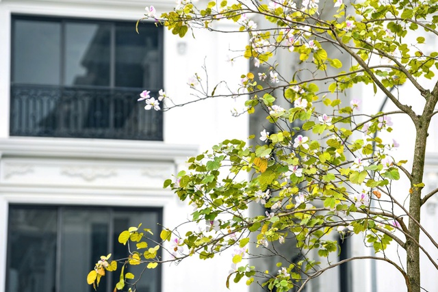 Cận cảnh dự án hưởng lợi khi đường Lê Quang Đạo thông xe- Ảnh 6.